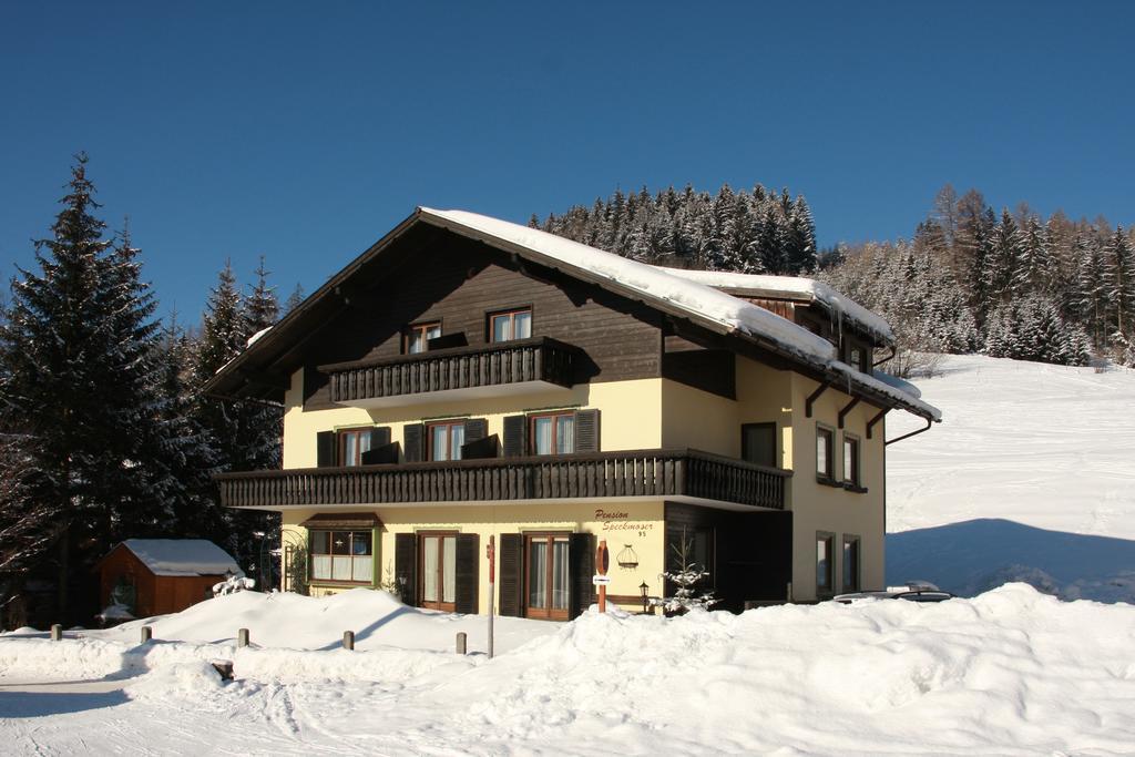 Pension Speckmoser Bad Mitterndorf Exterior foto