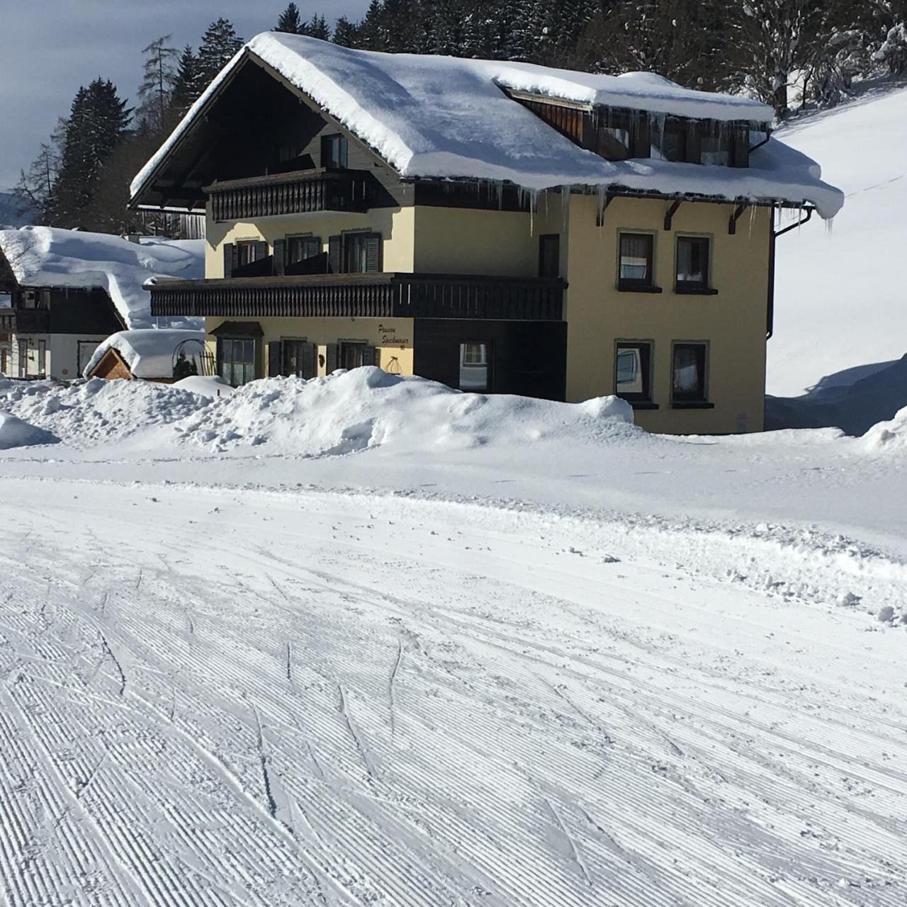 Pension Speckmoser Bad Mitterndorf Exterior foto